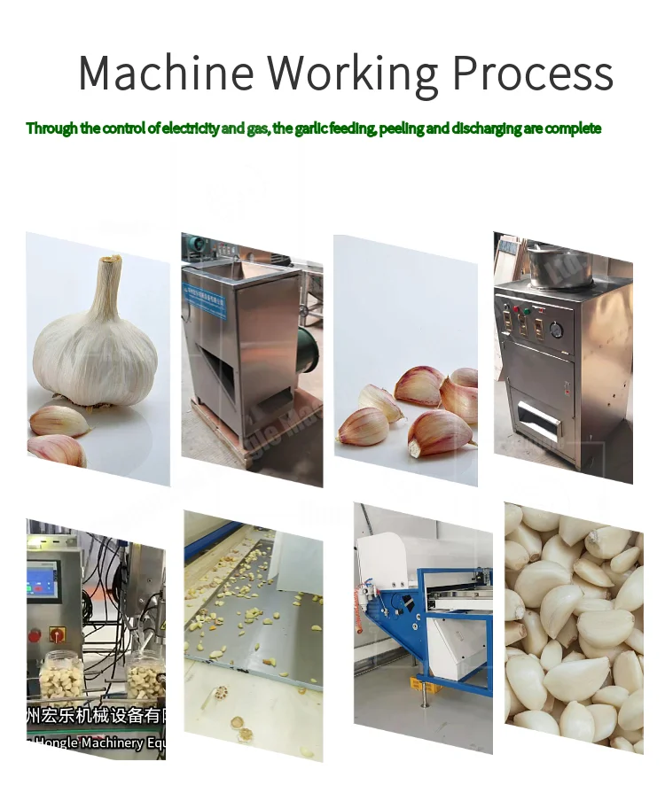 1000 Kg/H Smart Newest Design Garlic Peeler Machine Full-Automatic Commercial Garlic and Ginger Peeling Machine Price manufacture