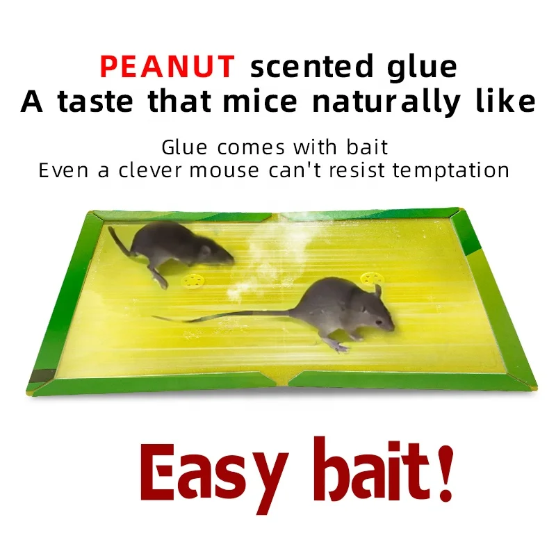 一次性多抓粘性捕鼠器鼠胶板捕鼠器蝎子 & 小鼠凝胶害虫防治溶液
