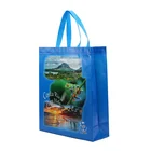 Bags Wholesale Custom Nonwoven Fabric Laminated Non-woven Shopper Tote Bags