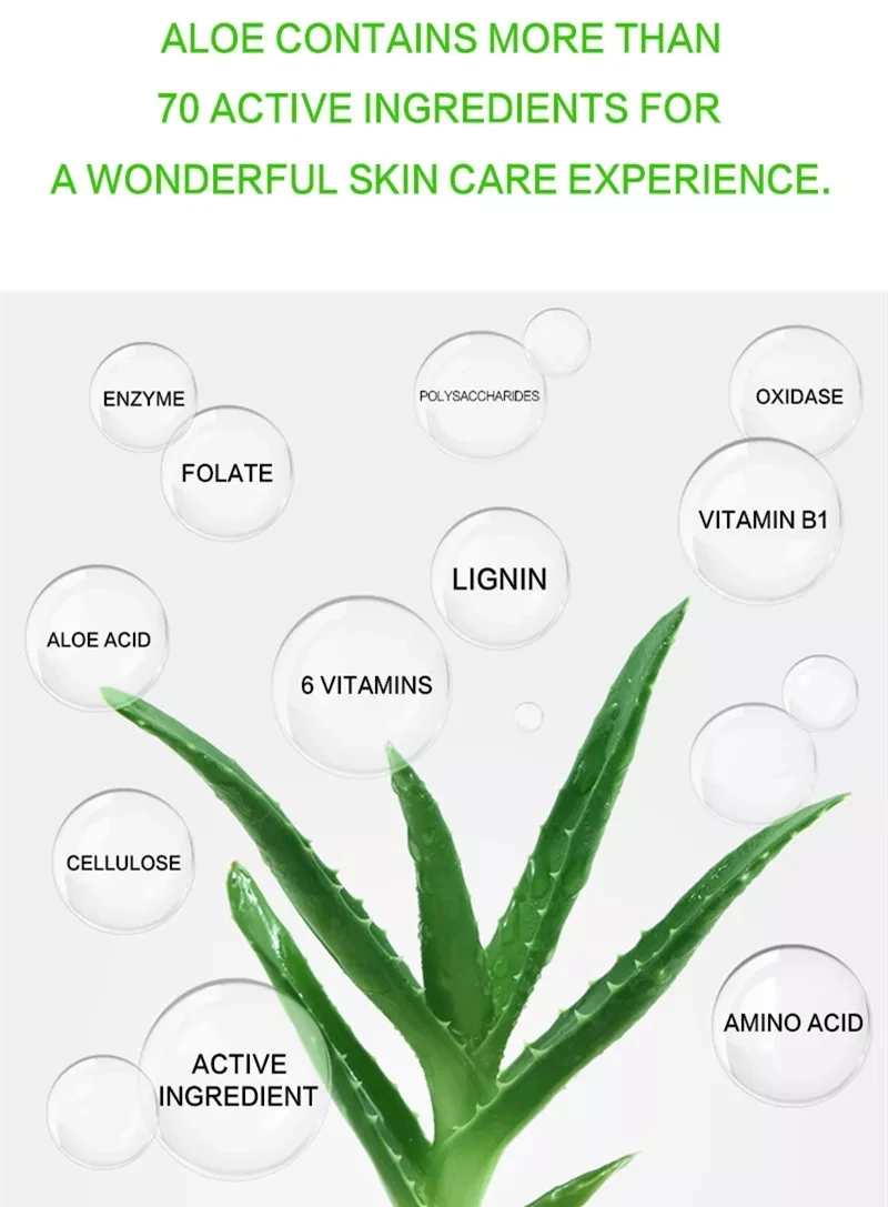 DR.RASHEL Aloe Vera Collagen Vitamin E Oil Free Perfecting Primer Face Serum Lotion Female 3 Years Regular Size 50ml Accept