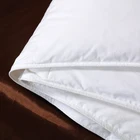 Silk Quilt 100 Top Grade Mulberry Silk Luxury Close Skin Breathable Soft Pure Silk Quilt