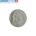 Alkaline Detergent Detergent Enzyme Granule Alkaline Amylase Detergent Enzyme
