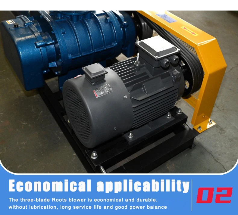 Roots Blower, 110-240V, 0.44m³ - detail 12