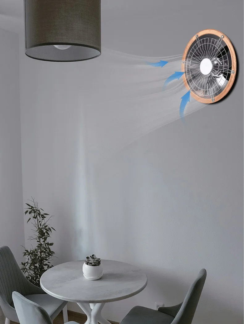 Axial Flow Fan, 110V, Electric - detail 16