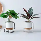 Pot Metal Plant Plant Pot Design Home Decoration Modern Luxury Flower Ceramic Pot With Metal Plant Stand For Succulent