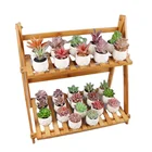 Pots 2021 Wholesale Newly Designed Cheap Office Desktop Mini Small White Ceramic Pots For Plants