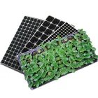 Seed 16 32 50 72 98 104 105 Cells Holes Plastic Growing Nursery Tray Seed