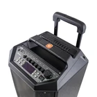 Mp3 MP3 FM Radio AUX RCA LED DJ Lights Bluetooth Trolley Speaker