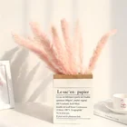 Floral YN Hi Flower Factory Hot Sell Natural Dried Flower Small Pampas Grass For DIY Floral Bouquets