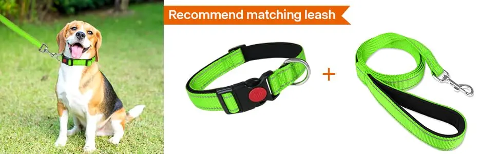 green durable dog collar 