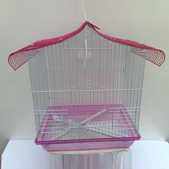 Bird Cage 3.jpg