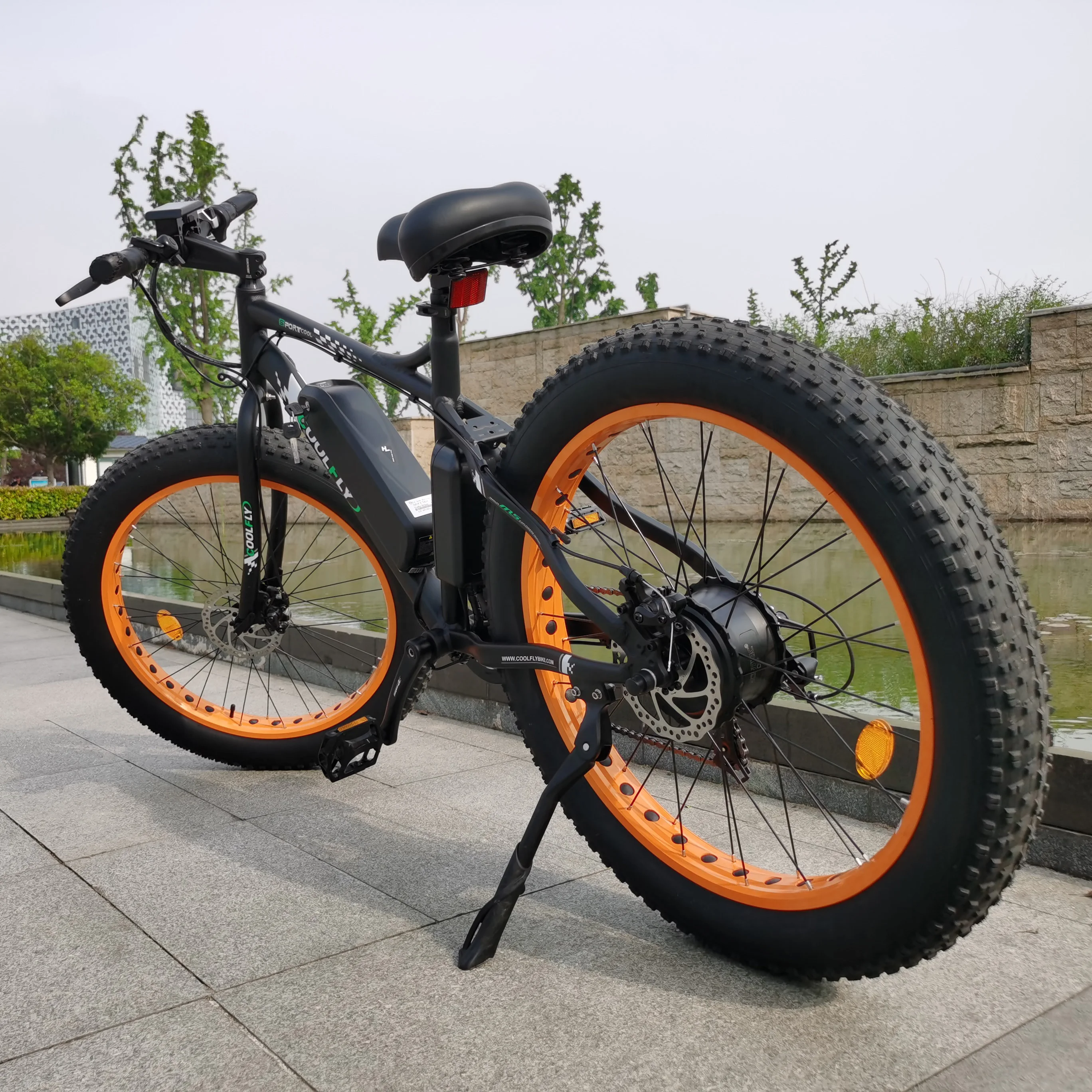 Quality Electric Bike 750w Fat Tire 