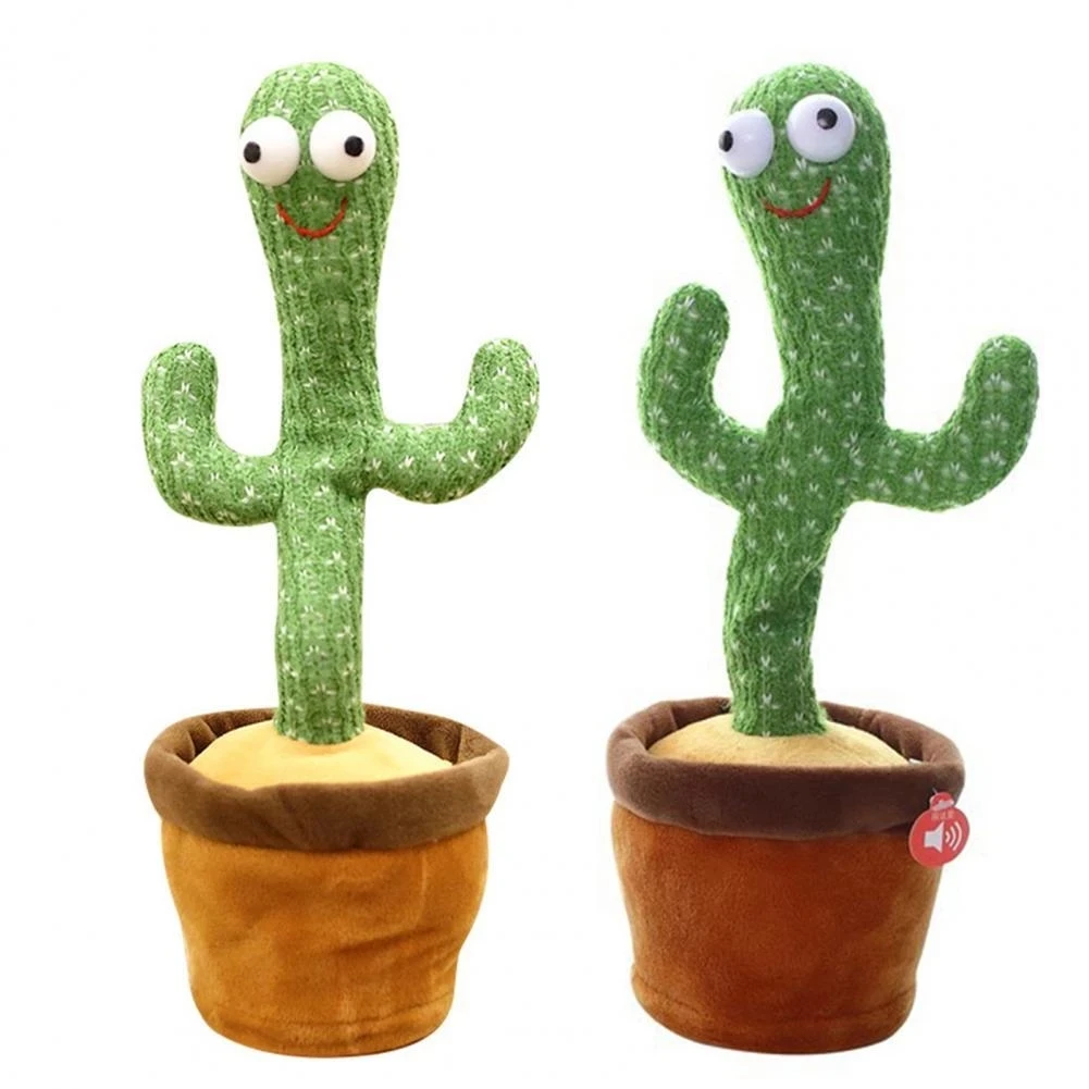 cactus learning toy