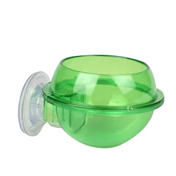 Suction cup lizard food bowl gecko feeding green plastic reptile water food bowl feeder