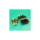 Plastic Box New Arrival Food Tray Vegetable Packaging Vegetables Air Hole Plastic Box