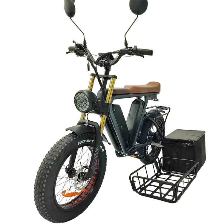 electric cargo fat bike