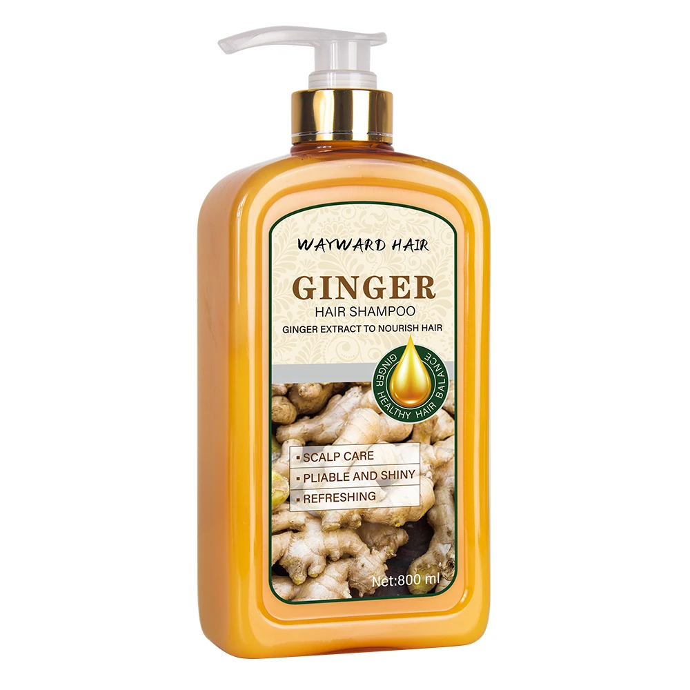 Hot selling organic hair shampoo ginger hair products manufacturer argan oil shampoo hair shampoo