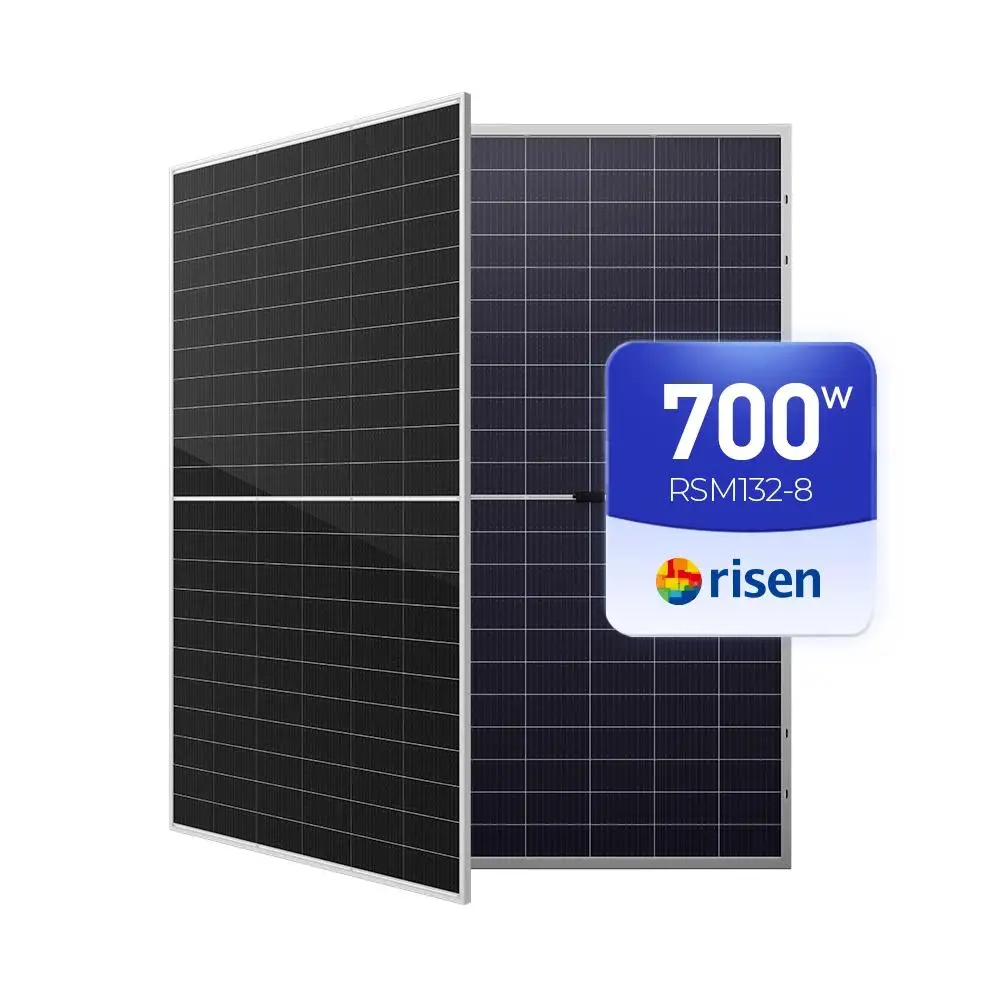 Risen Solar Panel 700watt Bifacial Double Glass Module 680w 685w 690w