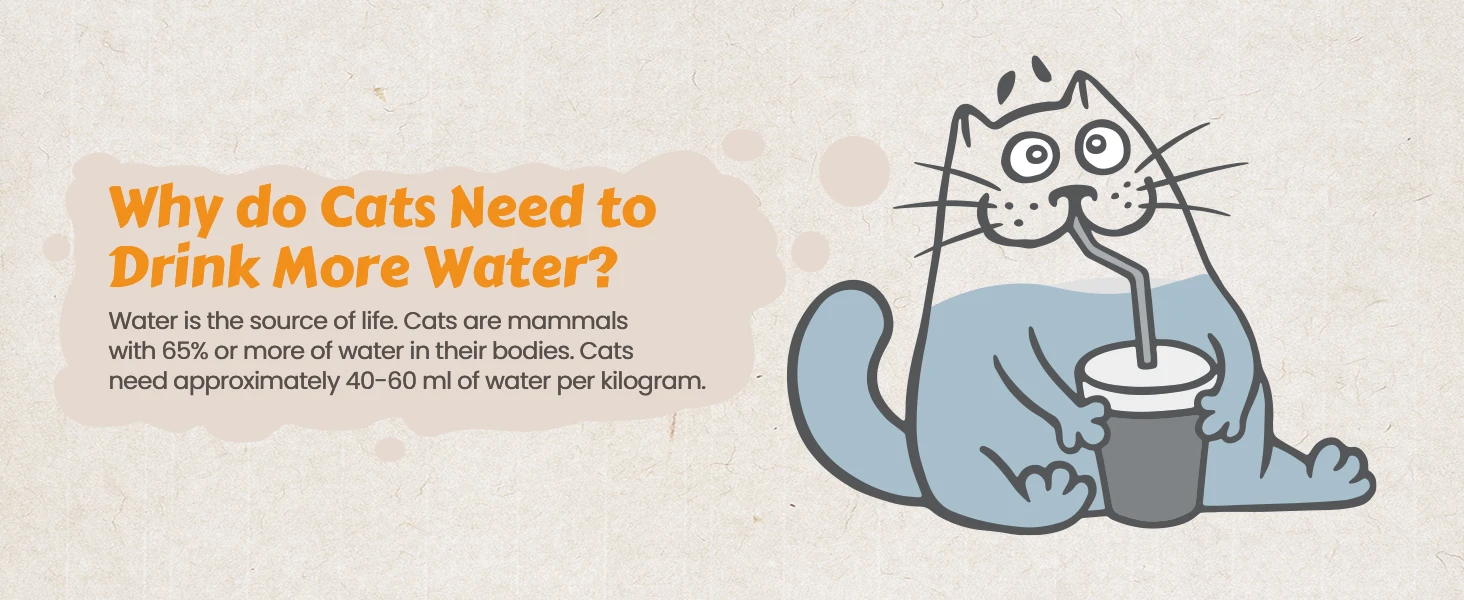 cat water fountain, cat fountain, pet water fountain, water fountain for cats inside