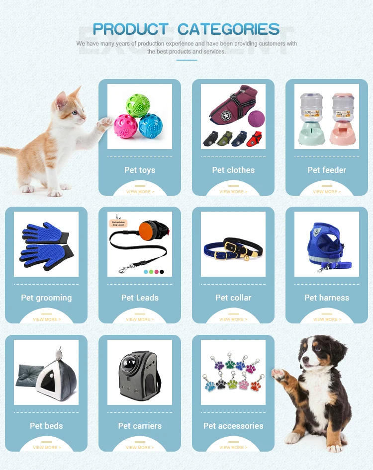  Discover the Best Pet Store Tifton GA: Your Ultimate Destination for Pet Supplies and Care