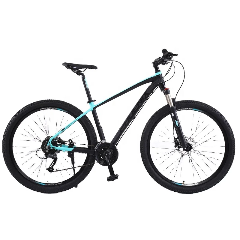 mtb new phoenix