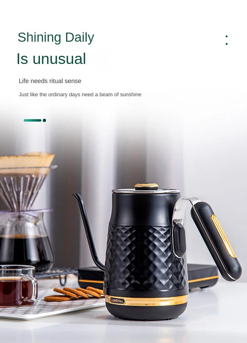 Stainless Steel Electric Kettle Hand Washed Kettle Electric Intelligent