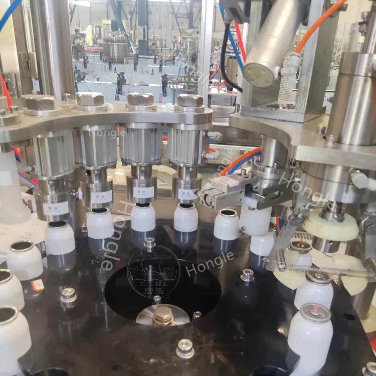 Full Automatic Aerosol Detergent Pesticides Automotive Carb Cleaner Filling Machine Production Line Maquina De Espuma En Aerosol details