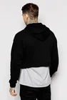 Spring Coloured Hoodie Finch Garment Wholesale 2021 Spring 100% Cotton Hoodies Blank Solid Color Mens Crop Hoodie