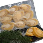 Abalone Shell Abalone FROZEN ABALONE MEAT WITHOUT SHELL