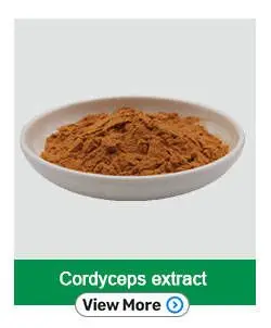 cordyceps .jpg