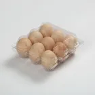 Plastic Egg Plasticegg Tray Plastic Tray Tray Tray Custom Transparent Plastic Egg Tray For Sale