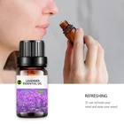 Essential Organic Wholesale 10ml 100% Pure Natural Steam Distillation Lavender Essential Oil 1kg BULK