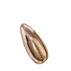 Sunflower China Organic Roast Sunflower Seeds In Shell Sunflower Seeds Manufacturer