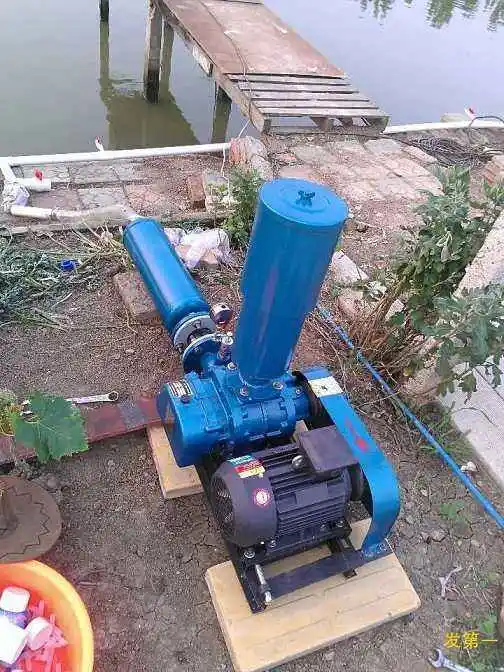 Positive Displacement Blowers Three Lobe Roots Blower For Aquaculture