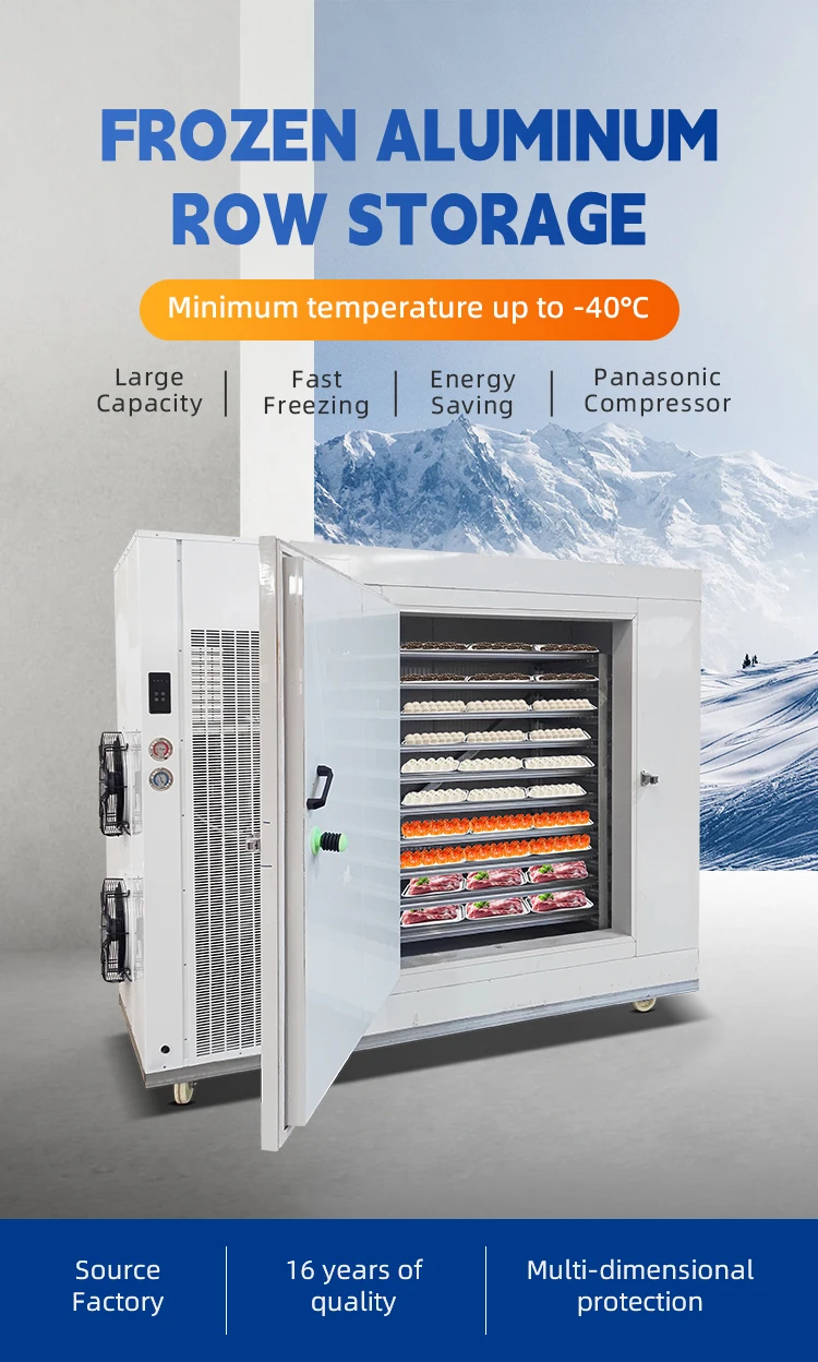 Blast Freezer, 220, 3.5 KW - detail 6