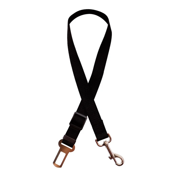 dog leash PCL0223.jpg