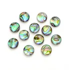 Abalone Low Price Good Quality Abalone For Sale Abalone Shell
