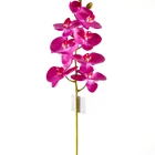 Special Special Hot Selling Orchid Flower Real Touch Phalaenopsis Artificial Orchids