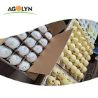 Pear Agolyn New Crop Fresh Ya Pear