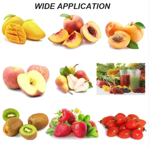 automatic Industrial Fruit apple pear peach pulping machine