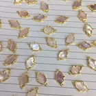 Shell Abalone Pendant Shell New Natural Fritillaria Tulip Palm Pink Shell White Shell Abalone Shell Fashion Pendant