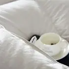 Comforter White Comforter Hypoallergenic King Queen Size White Goose Down Comforter With 100% Cotton Shell