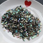 Abalone XUNBEI Natural Crushed Abalone Shell Mother Of Pearl Shell DIY Abalone Shell Pieces