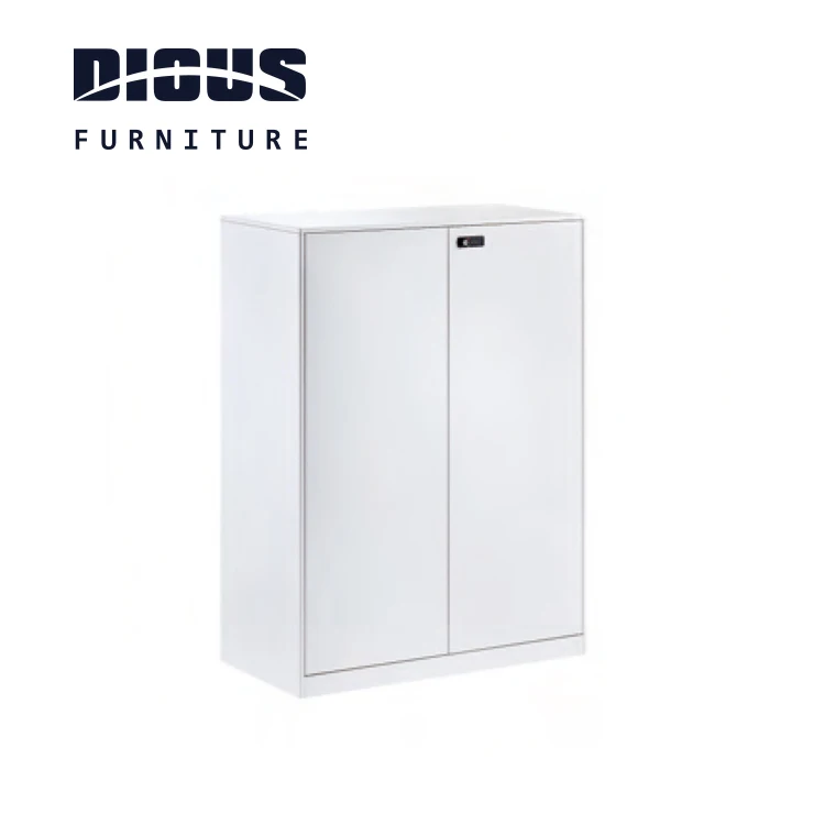 Dious wholesale price fashion design magazine metal cabinet steel locker cabinet