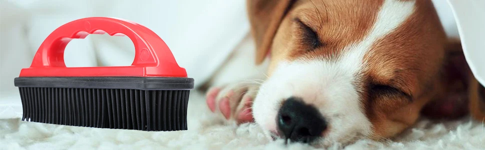 Pet Hair Removal Brush
