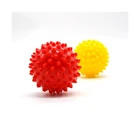 Product Family Hot Selling Product Bodybuilding Family Training Multicolor Options Massage-Roller Ball