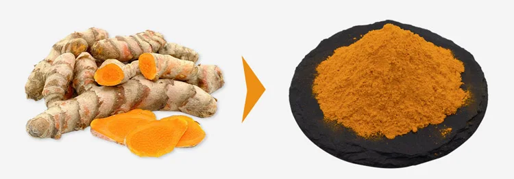 USP Standard Curcumin Bulk Price Turmeric Root Extract 95% Curcumin Powder