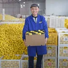 Fruit Montale Farm Directly Supply Price Of Fruit Wholesale Lemon