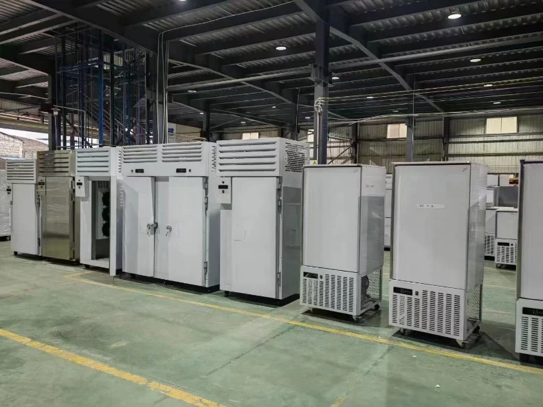 Blast Freezer, IQF, Stainless, Steel - detail 20