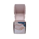 Custom Printed Large Home Products Packaging Wardrobe Moving Carton Wholesale House